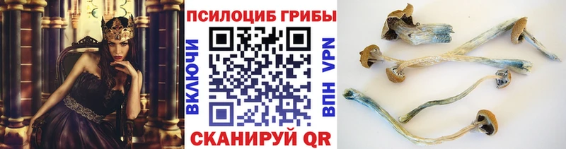 Псилоцибиновые грибы GOLDEN TEACHER  Купить закладки  Архангельск 